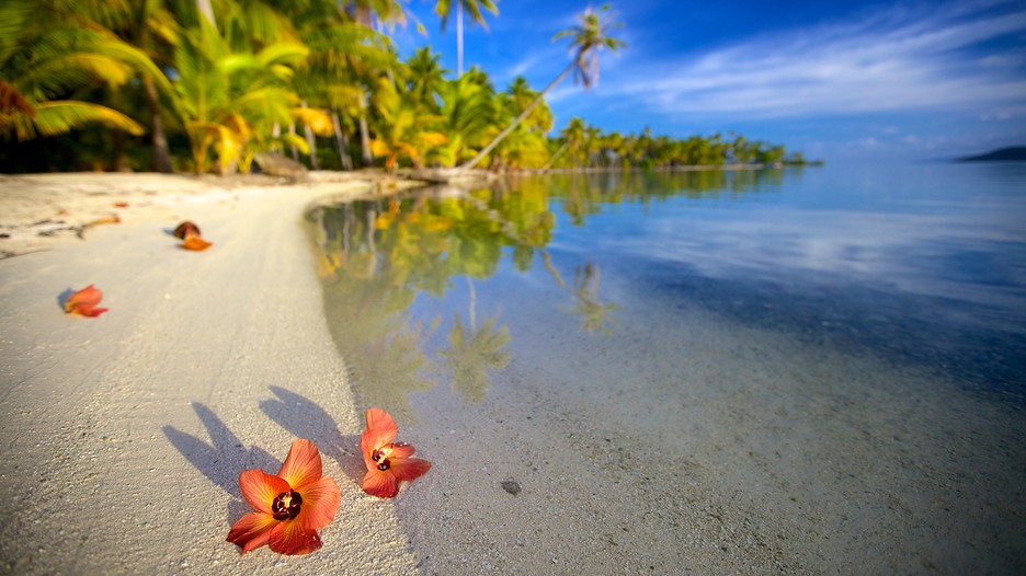 tahiti tourism nz