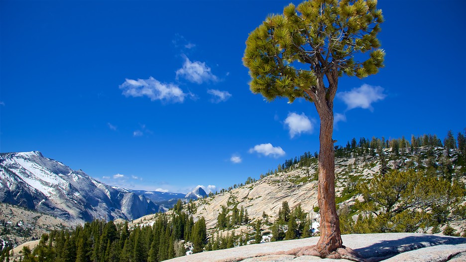 Hotels Close To Yosemite Park Hotels Close To Yosemite Park