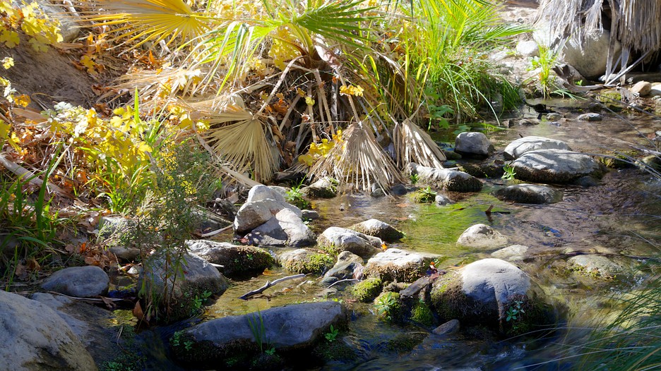 Indian Canyon in Palm Springs, California Expedia