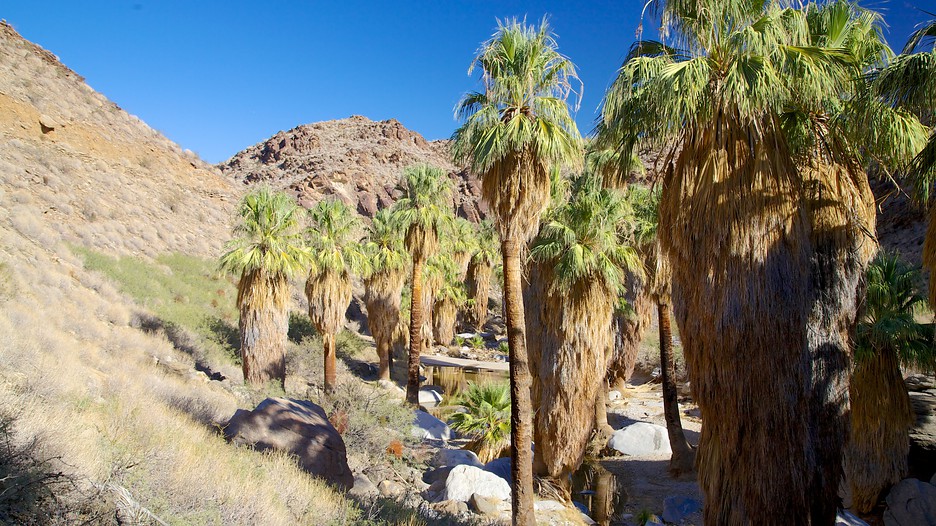 Indian Canyon in Palm Springs, California Expedia