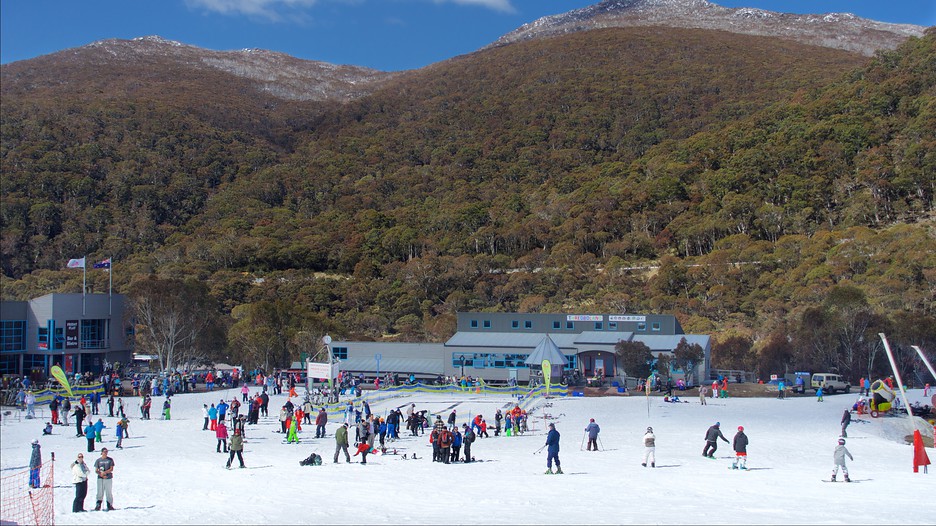 Thredbo Holidays Cheap Thredbo Holiday Packages & Deals