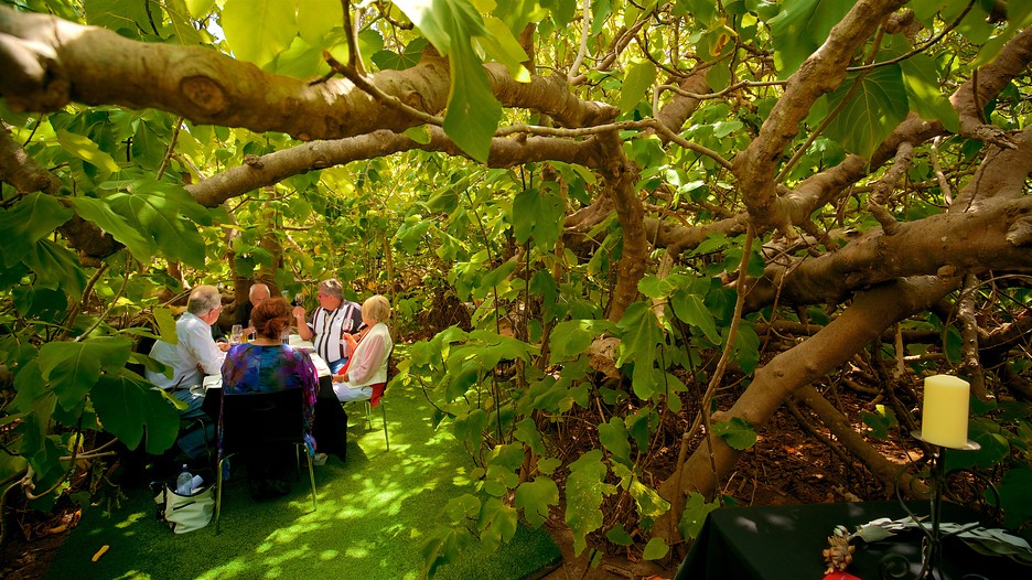 Fine Dining Kangaroo Island Fine Dining Kangaroo Island