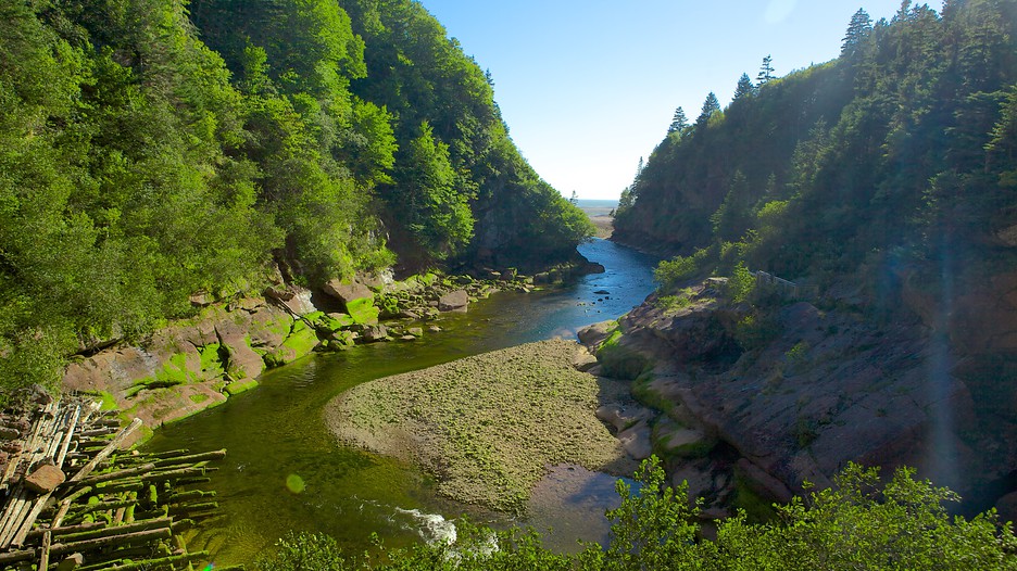 Bay Of Fundy Camping >> Fundy National Park in Alma, New Brunswick | Expedia.ca Bay Of Fundy Camping >> Fundy National Park in Alma, New Brunswick | Expedia.ca