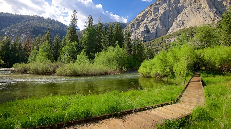 Kings Canyon National Park Vacations 2017 Package & Save up to 603