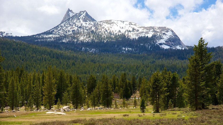Tuolumne Meadows Yosemite National Park, California Attraction