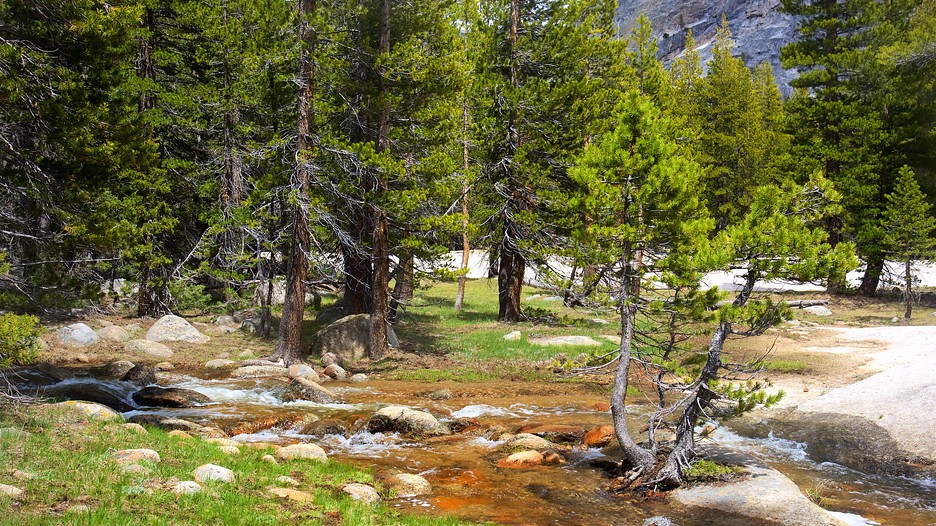 Tuolumne Meadows Yosemite National Park, California Attraction