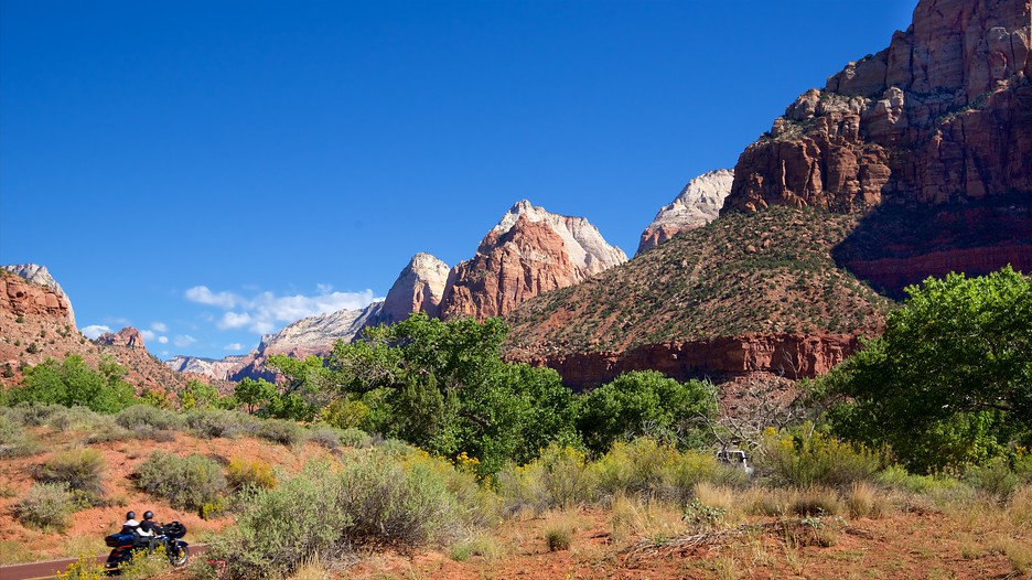 Zion casino