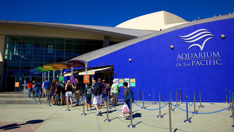 Aquarium of the Pacific in Long Beach, California - Aquarium Of The Pacific 67155