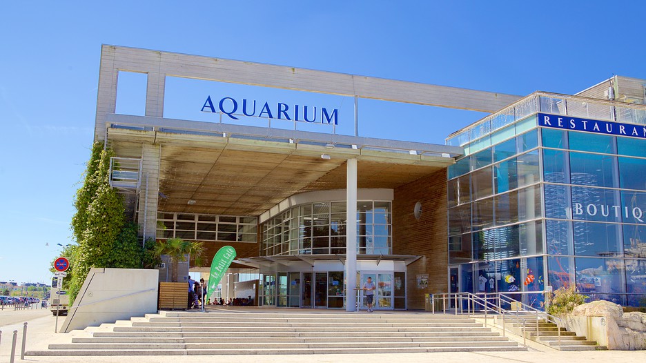 Aquarium La Rochelle in La Rochelle, NouvelleAquitaine Expedia