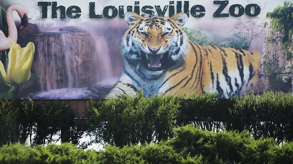Kentucky vacation deals
