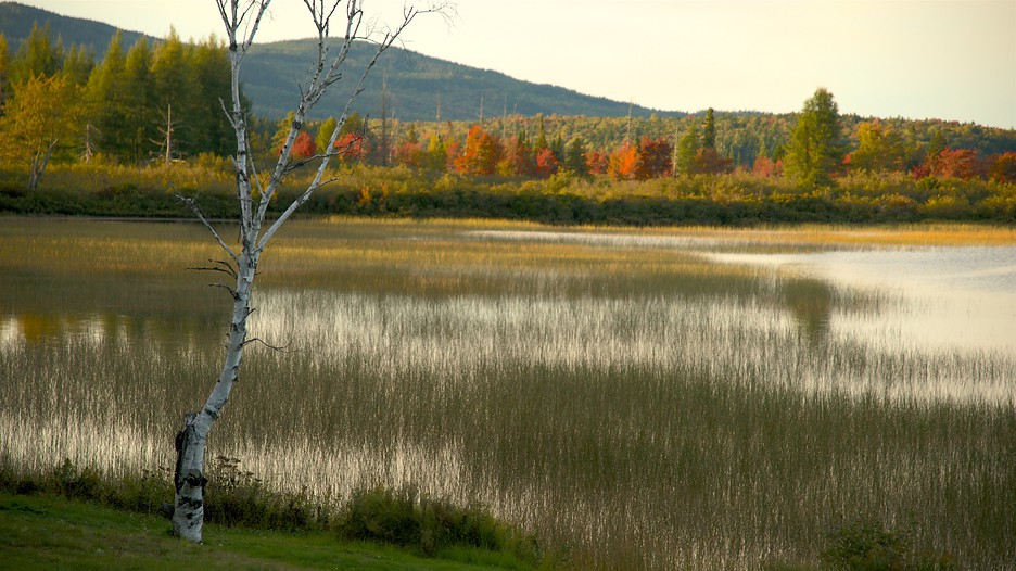 Maine Vacations 2017 Explore Cheap Vacation Packages Expedia