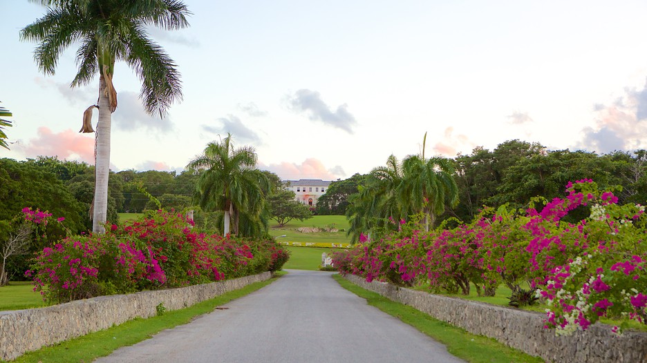 Rose Hall Great House in Montego Bay, Expedia