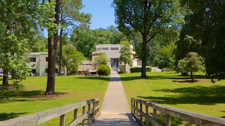 Rental Car Companies In Macon Ga