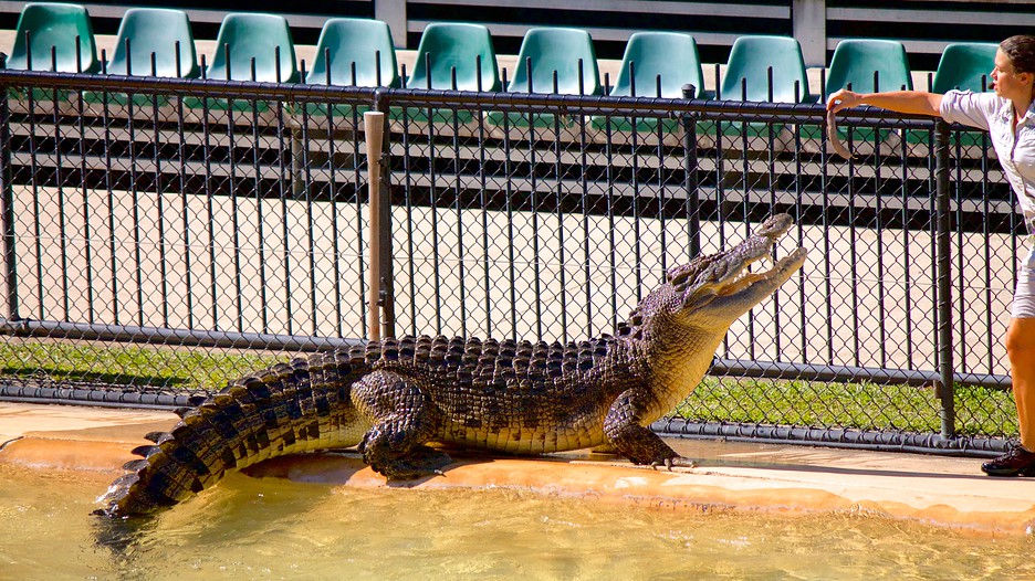 Australia Zoo Maroochydore, Queensland Attraction