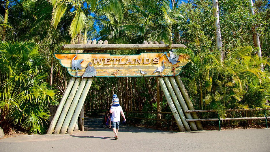 Australia Zoo in Beerwah, Queensland Expedia