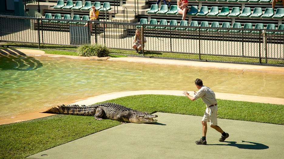 Australia Zoo Maroochydore, Queensland Attraction
