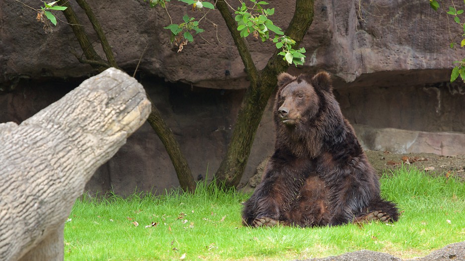 Parque Zoologico de Chapultepec in Mexico City, | Expedia.ca