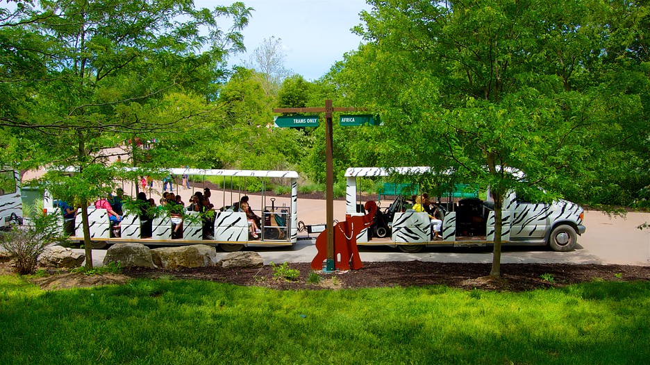 Kansas City Zoo in Kansas City, Missouri Expedia