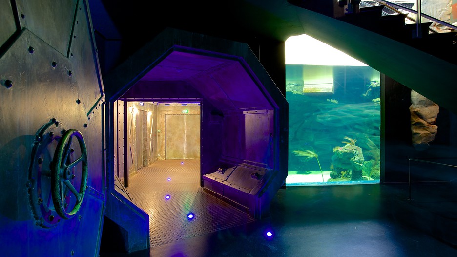 mare nostrum aquarium (mare nostrum 水族馆) - 蒙彼利埃 (及附近