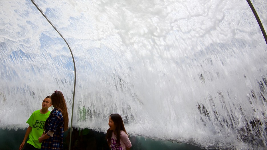 reasonably-priced las vegas lodge and flight applications bend motel offers