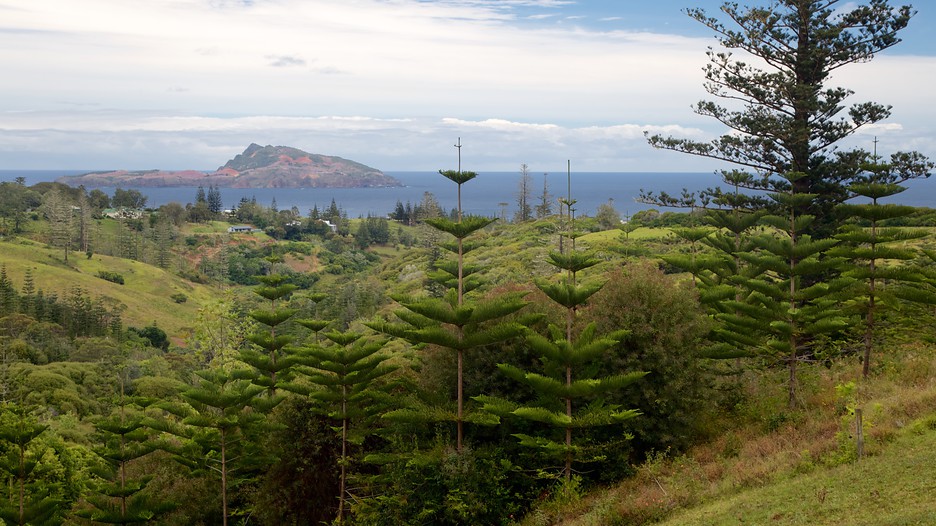 My Flight To Norfolk Island My Flight To Norfolk Island