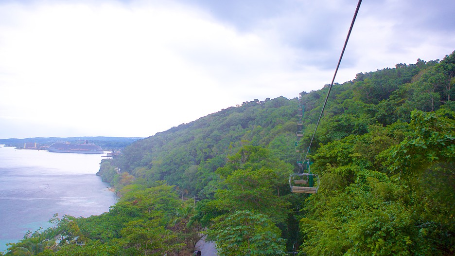 Mystic Mountain in Montego Bay, Expedia