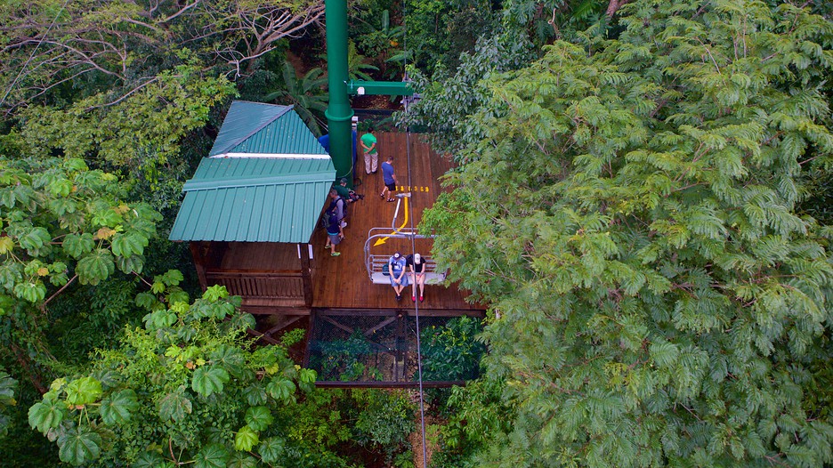 Mystic Mountain in Montego Bay, Expedia