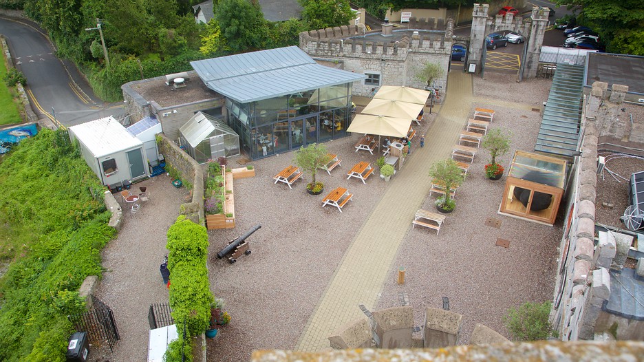 Castillo de Blackrock Información de Castillo de Blackrock en Cork