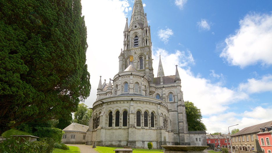 Saint Fin Barre's Cathedral in Cork, Expedia