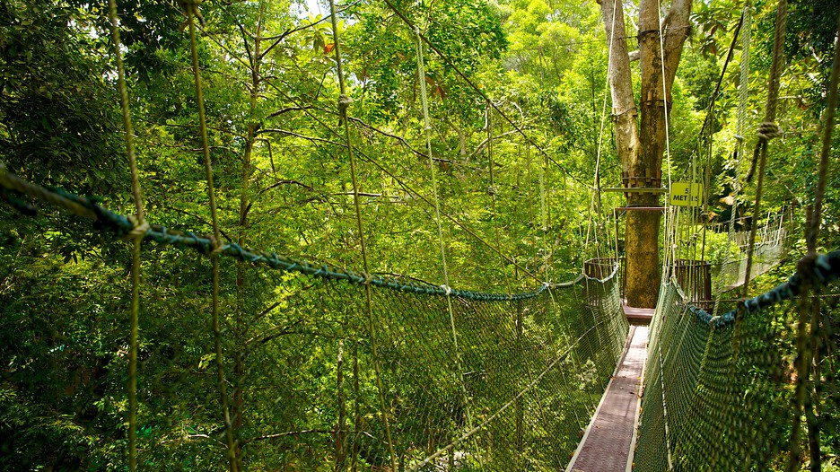 Image result for penang national park