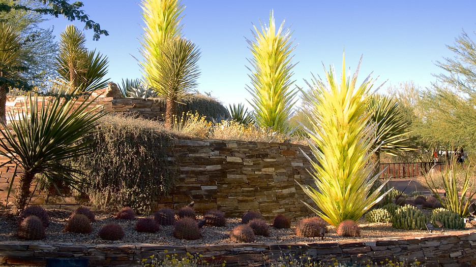 Hotels Near Desert Botanical Garden The 10 Closest  Best