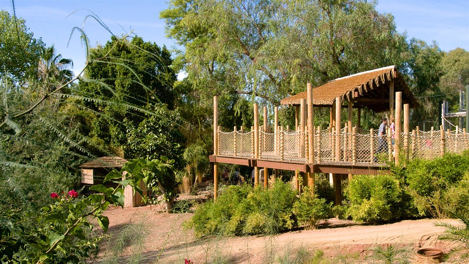 Phoenix Zoo in Phoenix, Arizona Expedia