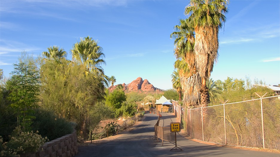 Zoo coupons phoenix az