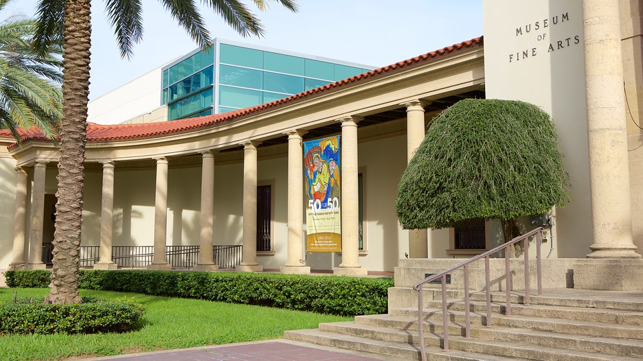Museum of Fine Arts St. Petersburg, Florida Attraction