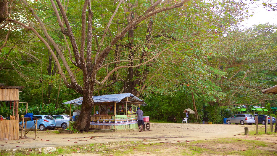 Winnifred Beach Hotel Winnifred Beach Hotel
