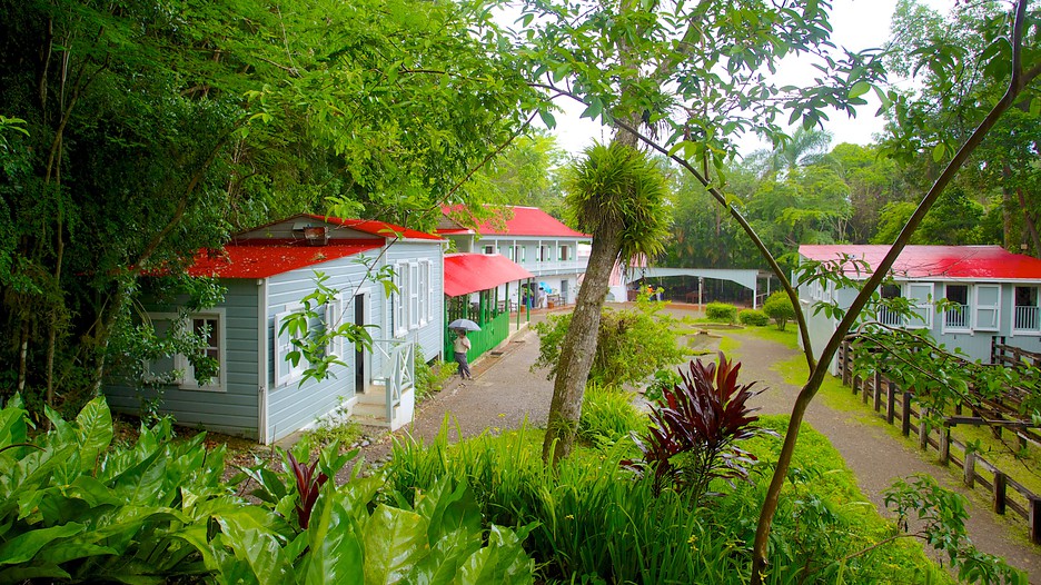 Hacienda Buena Vista Información de Hacienda Buena Vista en Isla de