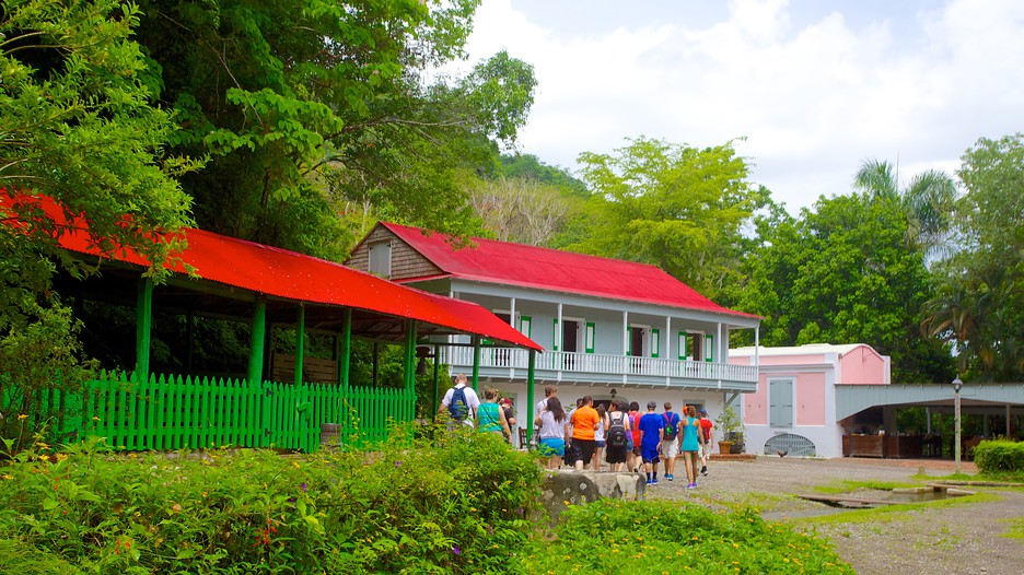 Hacienda Buena Vista Información de Hacienda Buena Vista