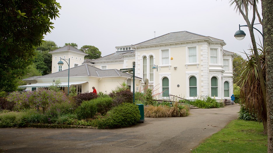 Penlee House Gallery and Museum Penzance, England Attraction