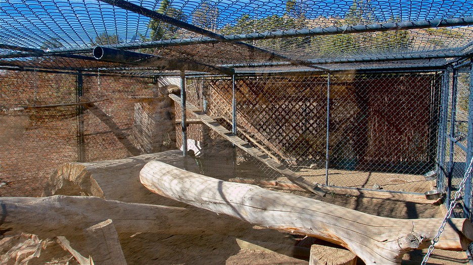 Animal Ark in Reno, Nevada Expedia