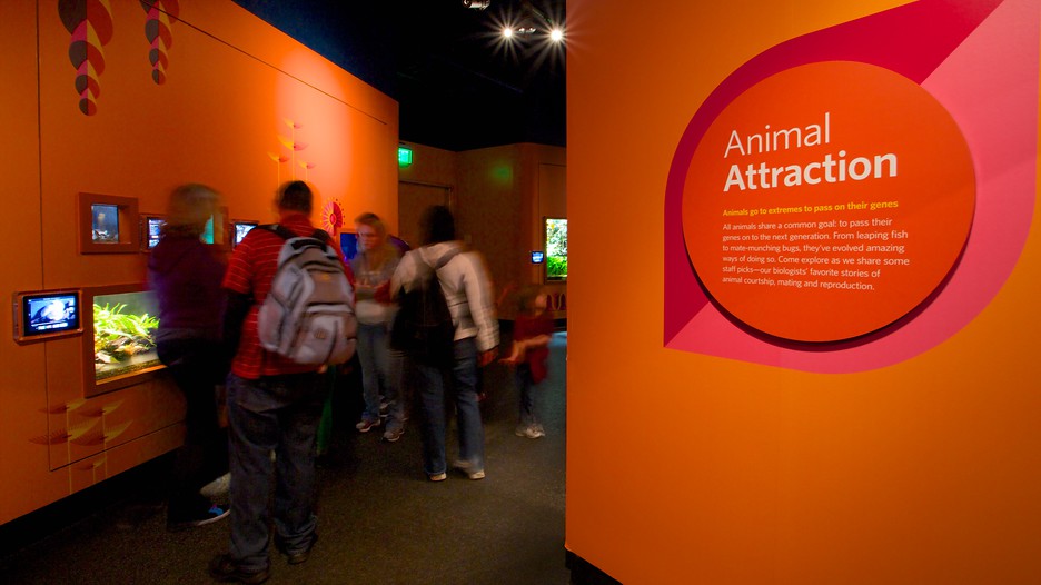 Travelzoo last minute deals san francisco