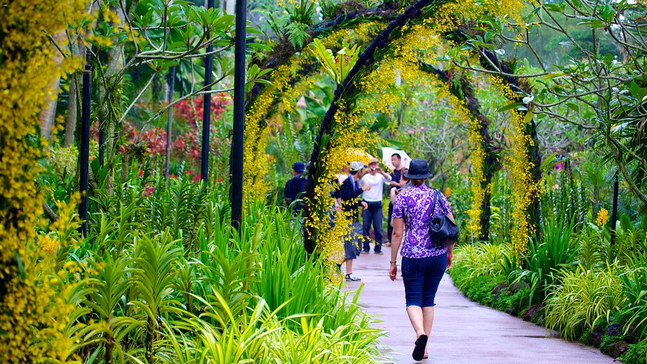 Home Gardening Singapore