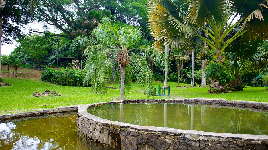 Jardín Botánico Información de Jardín Botánico en San Juan, Puerto