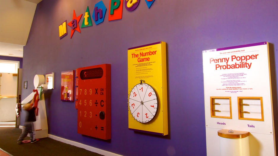 Magic House St. Louis Children's Museum in St. Louis, Missouri Expedia