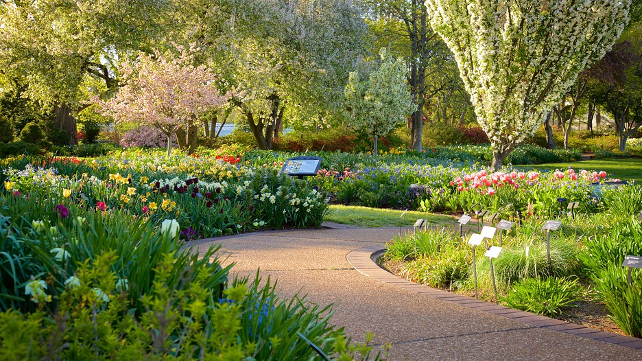 Missouri Botanical Gardens and Arboretum in St. Louis ...