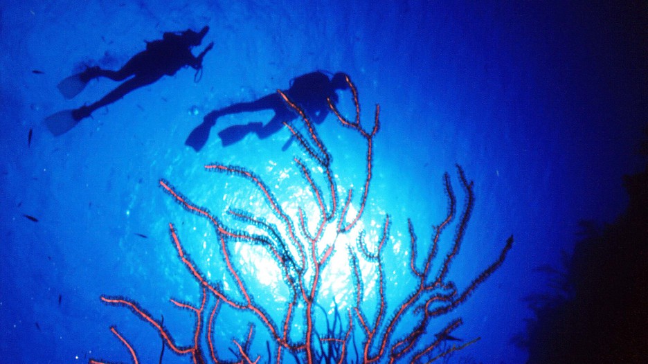 Cayman Islands Vacations 2017 Explore Cheap Vacation Packages Expedia