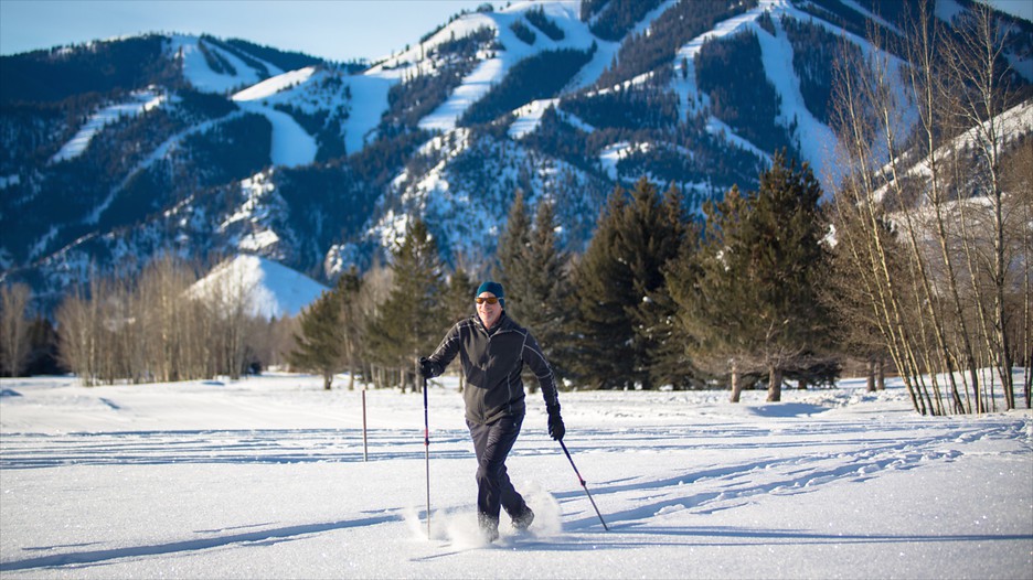 Sign Up for Alerts, Specials, and News Resort will be OPEN this SUNDAY, Dec 9th. JOB FAIR: (Hiring NOW) Alta Sierra Ski Resort will be holding a Job Fair on Saturday, Dec. 8th, from 9am - 12pm (at the Ski Resort).