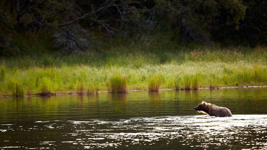 Best alaska travel deals