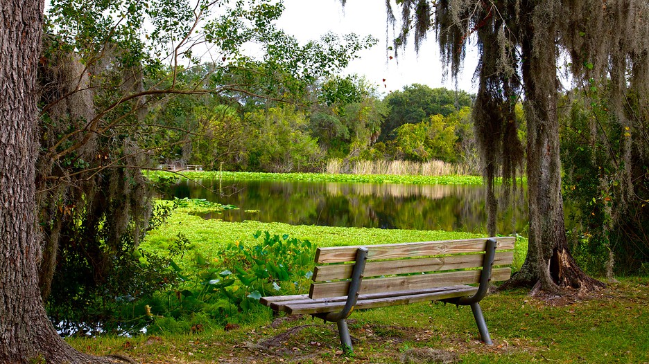Al Lopez Park in Tampa, Florida Expedia