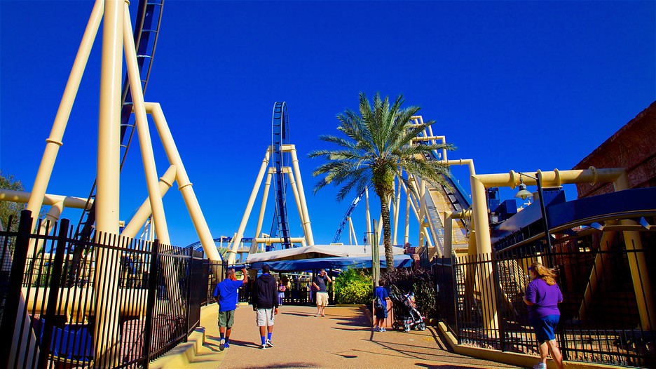 Hotels Close To Busch Gardens Tampa Hotels Close To Busch Gardens Tampa