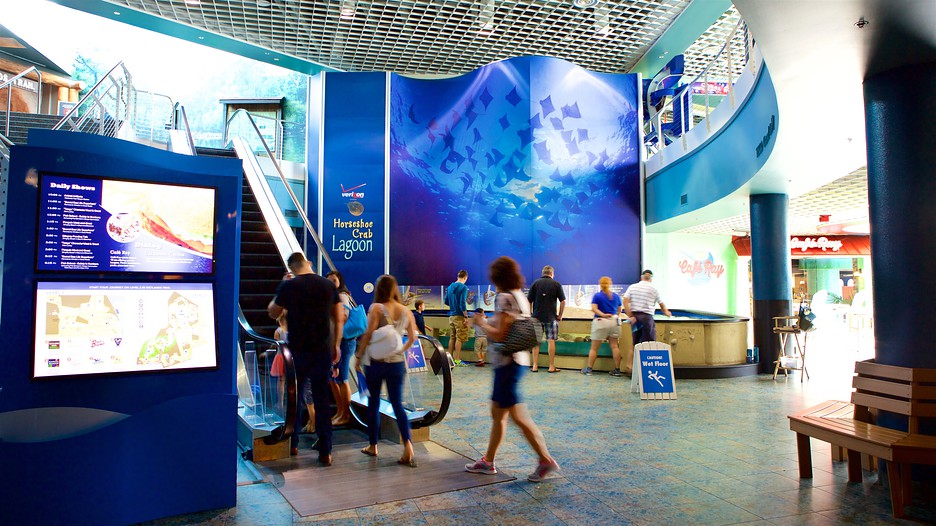 Florida Aquarium in Tampa, Florida Expedia